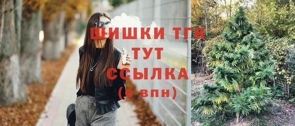 не бодяженный Новозыбков
