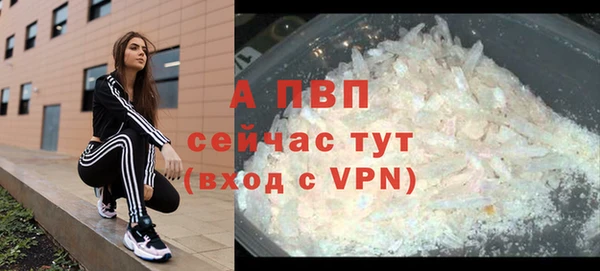 PSILOCYBIN Армянск
